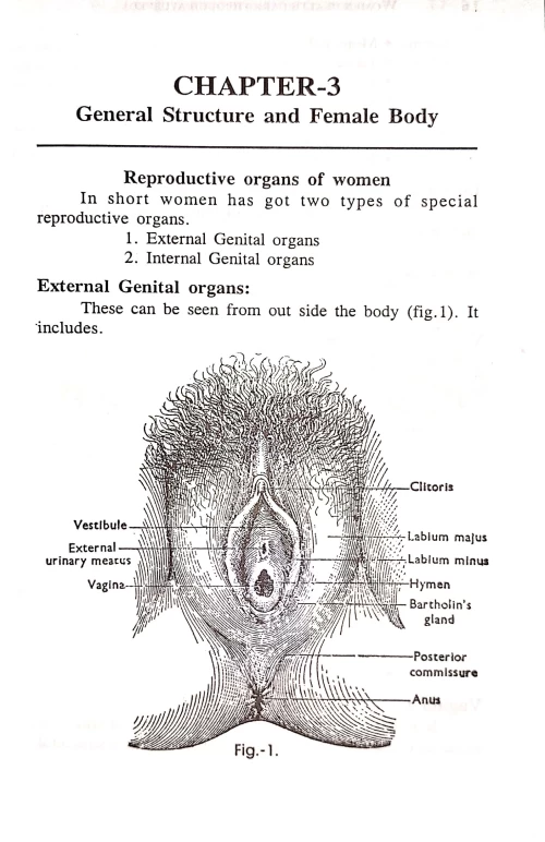 Women Health Care Through Ayurveda
